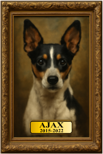 Example Pet Portrait