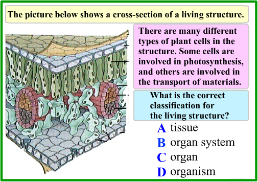 Biology