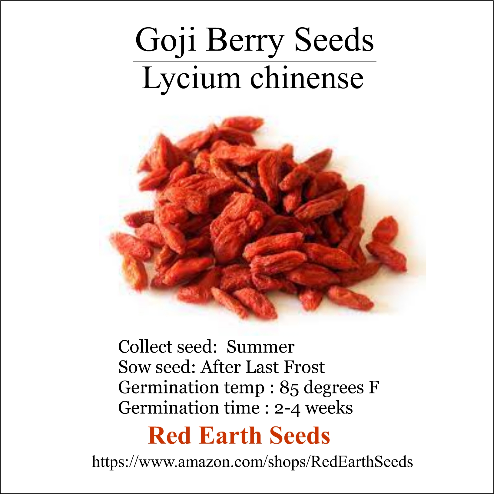 Goji Berry - 20 seeds - Lycium chinense