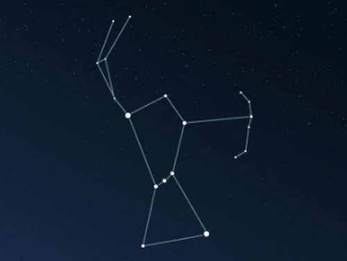 Orion