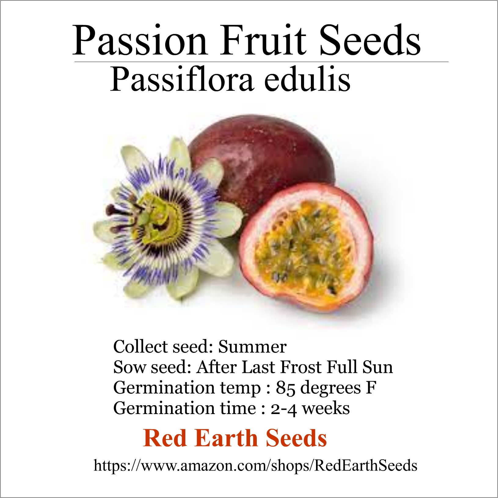 Passion Fruit - 20 Seeds - Passiflora edulis